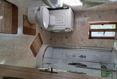 Vind casa Ceuasu de Cimpie 4 camera, living+bucatarie, bucataria mica,2 bai,2 garai,2 terasa 265.000 - 7