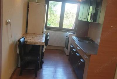Apartament cu 3 camere decomandat la limita dintre Timisoara si Chisoada - 6