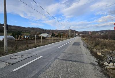 Teren de 500 mp, în Podgoria - 8