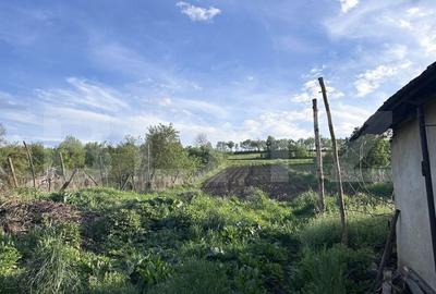 Casă cu 4 camere cu Teren 2000 Mp în Mărișelu - 4