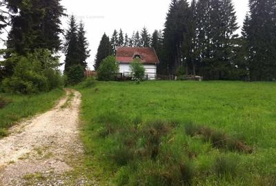 Teren intravilan Cotul Donului,pretabil Hotel/pensiune. - 15