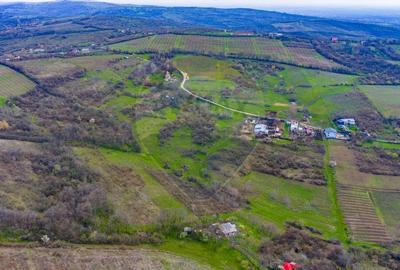 Teren Construcții intravilan de 33500 mp, în Valea Orlei - 11