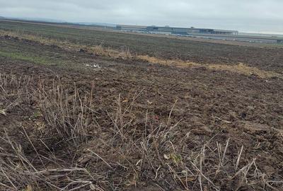 Teren de 1000 mp, în Vest - 8