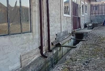 Casă cu 4 camere în Târpești - 2