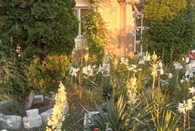 Vand casa din caramida + dependinte + teren 1500m2 in loc. Secuieni Noi, jud Neamt - 4