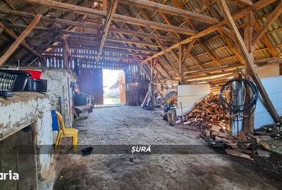 Casă cu 3 camere cu Teren 3724 Mp în Apa - 6