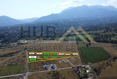 Loturi Teren Tohanul Nou | Zarnesti | Curent In Apropiere - 5