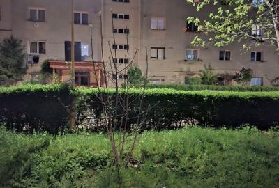Garsonieră semidecomandată în Noua - 11