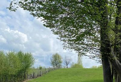 Teren intravilan 1200 mp utilita?i la poarta, zona exclusivista Sibiel - 5