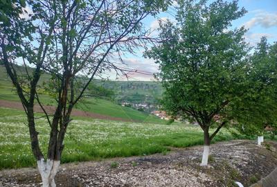 Teren de 1577 mp, în Târnăveni - 4