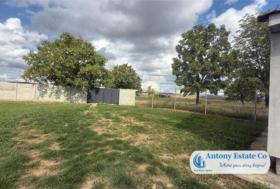 Casă cu Teren 2877 Mp în Tileagd - 17