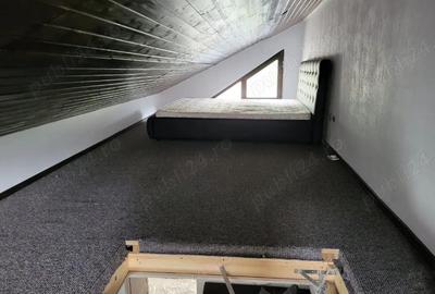 Casă cu 7 camere în Făget - 8