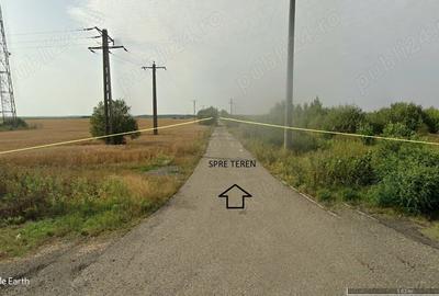 Teren de 200000 mp, în Pecica - 1