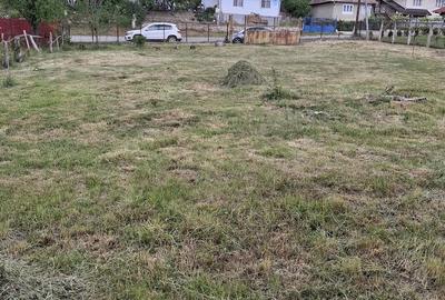 Casă cu Teren 1300 Mp în Sălciua - 1