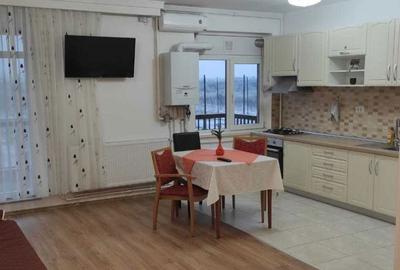 Apartament cu 2 camere decomandat, mobilat în Nord - 7