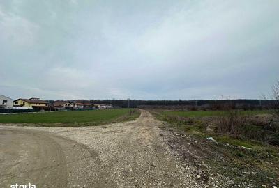 Teren de 545 mp, în Tărtășești - 6