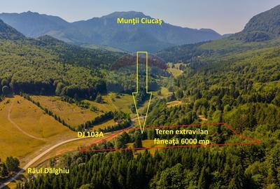 Teren 6000 mp, Vama Buzaului - vedere catre Ciucas - 3
