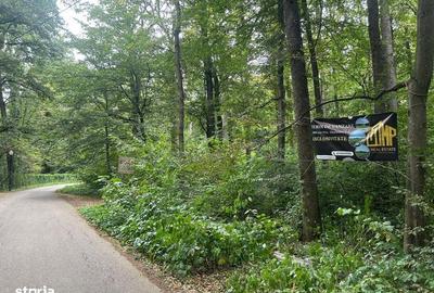 Teren de 4003 mp, în Snagov - 3