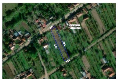 Teren Intravilan de Vanzare 1153mp, langa Beiu? - 3