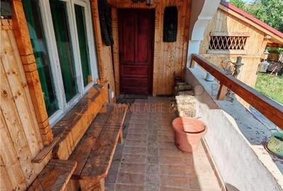 Teren intravilan + casa zona Fintesti - 17