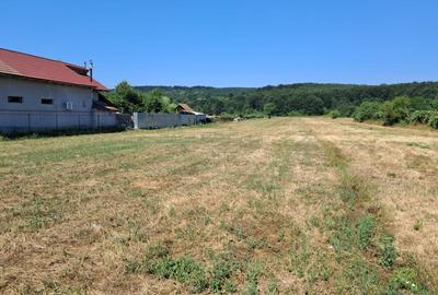 TEREN INTRAVILAN ȘI EXTRAVILAN TURCINEȘTI - 11