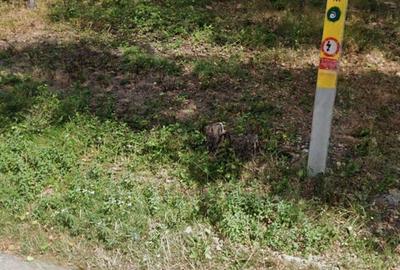 Spațiu comercial, în Baia de Fier - 6