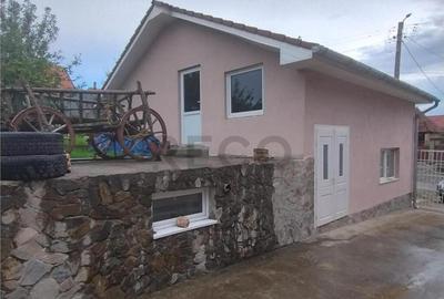 RECO Casa 9 camere, Hotar - 4