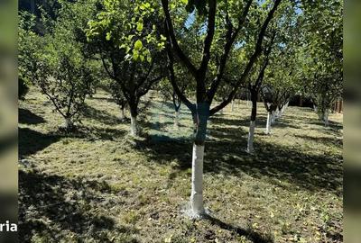 Casă cu 4 camere cu Canalizare în Micești - 4