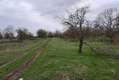 Teren de 3700 mp, în Central - 2