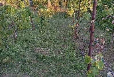 Casă cu 4 camere cu Teren 120 Mp în Central - 4