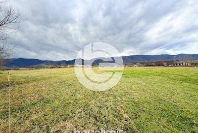 Teren intravilan in Tocile - 4354 m² - 2 fronturi - oferta competitiva - 11