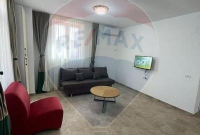 Apartament cu 2 camere de inchiriat in zona Plevnei - 7