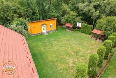 Ansamblu cu 2 case,piscina,1.700 mp domeniu verde,Lutoasa,Mereni,Covasna - 20