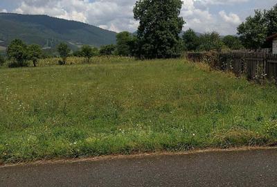 Teren în Stejaru (Pângărați) - 2