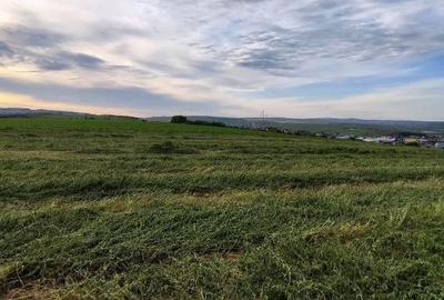 Spațiu comercial, în Central - 5