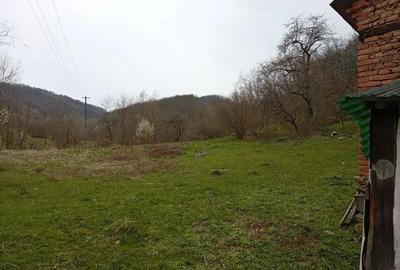 Casă cu 4 camere în Poieni (Densuș) - 6