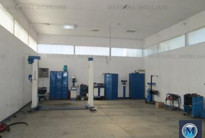 Spațiu industrial, de 450 mp, în Albert - 1