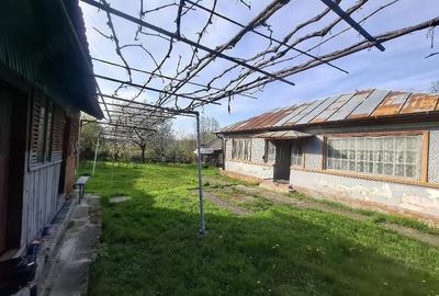 Casă cu Teren 1273 Mp în Dobra - 3