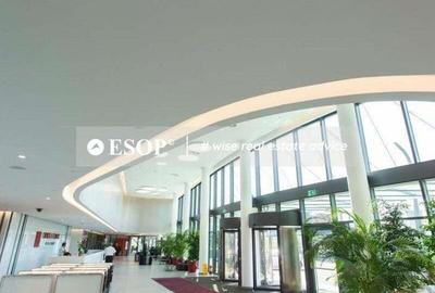 Spațiu comercial, de 1,230 mp, în Grozăvești - 4