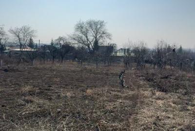 Teren intravilan zona centrală Târgu Frumos - 3