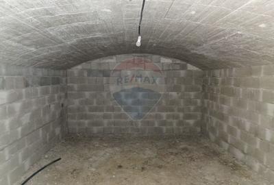 Casa cu livada si teren generos - Girov - 26