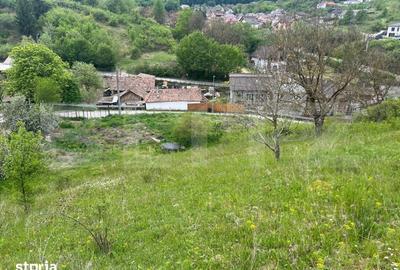 Teren de 3100 mp, în Central - 2