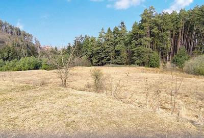 Teren de 3000 mp, în Poiana Angelescu