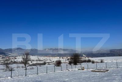 Teren de 1000 mp, în Tohănița - 3