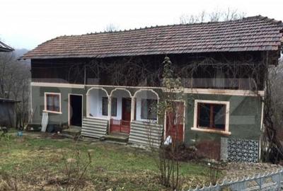 Casa de vacanta din lemn, sat Magura, Bezdead - 8