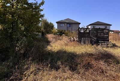 Comuna Berceni, zona Mamina - 4