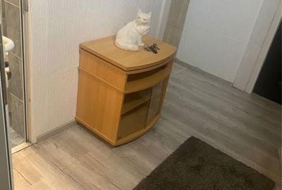 Apartament cu 2 camere semidecomandat în Spitalul Județean - 8