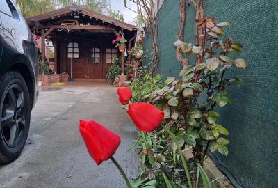 Casă cu 4 camere cu Teren 1200 Mp în Central - 6