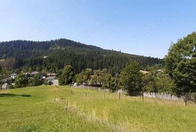 Teren în Voroneț - 5