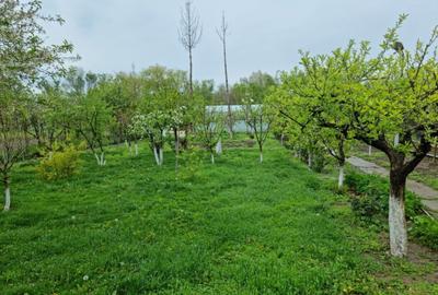 Teren de 1105 mp, în Păcii